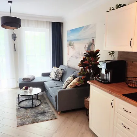 Amber Dream Kryty Basen